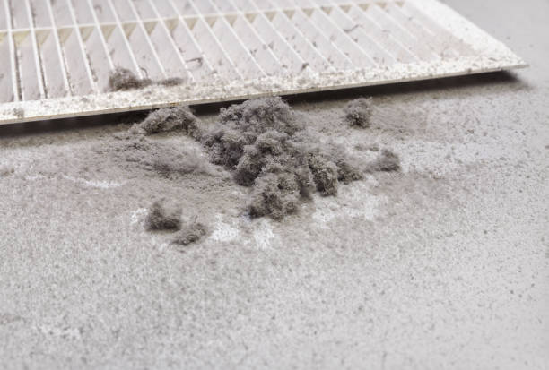 Best Home Air Vent Cleaning  in Odell, OR